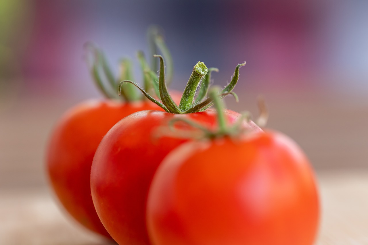 tomatoes, vegetable, food-7386111.jpg